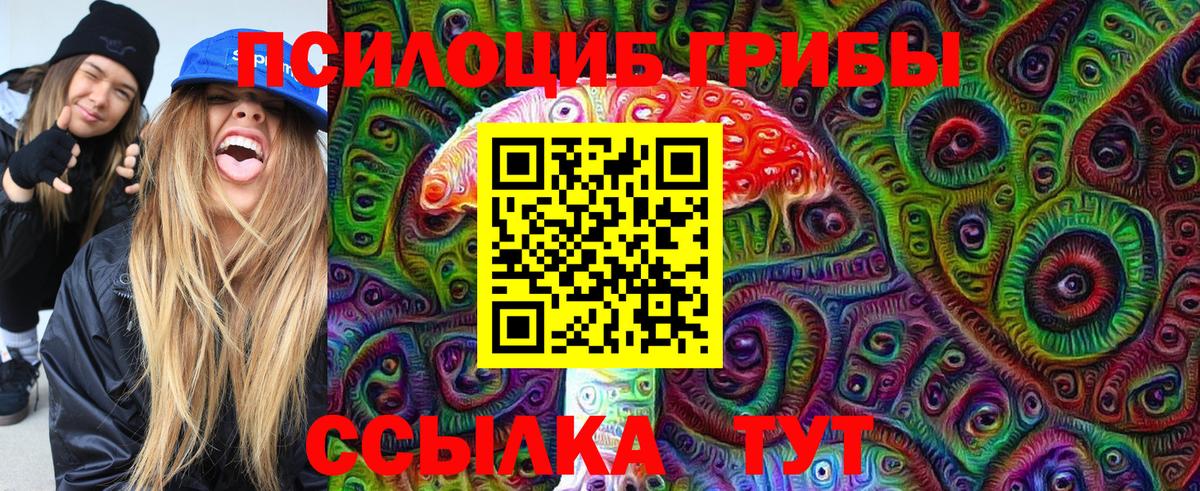 Галлюциногенные грибы мухоморы  наркотики  Новомосковск  Вход с VPN 