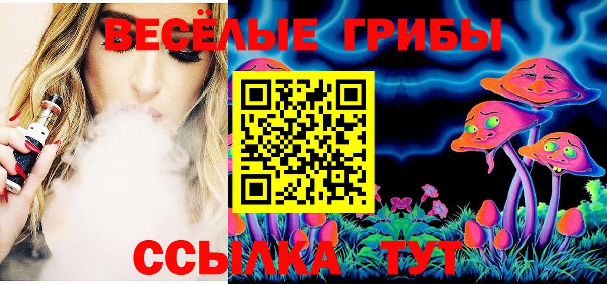 Псилоцибиновые грибы мухоморы Новомосковск